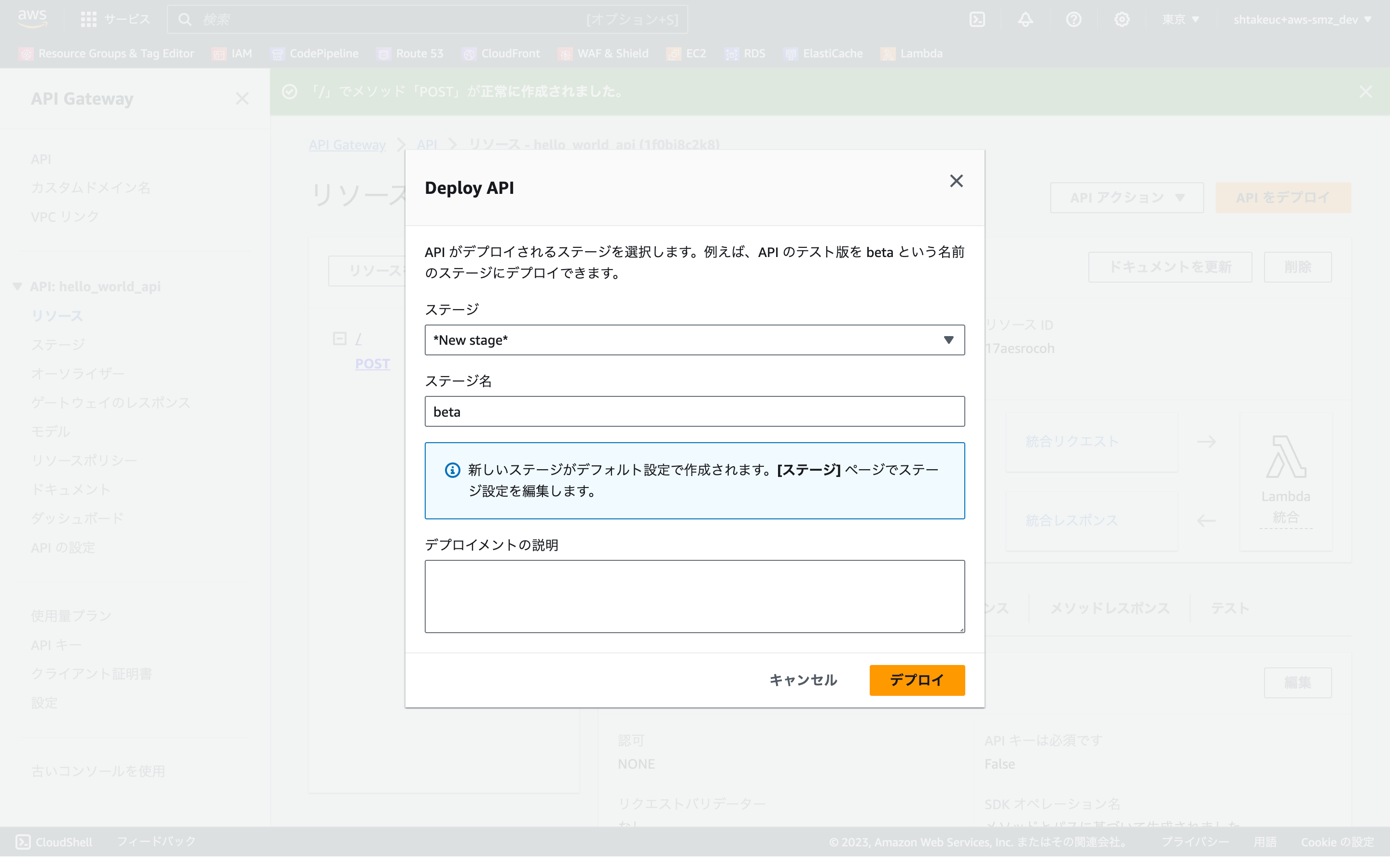 ap-northeast-1.console.aws.amazon.com_apigateway_main_apis_api=unselected&region=ap-northeast-1 (26).png