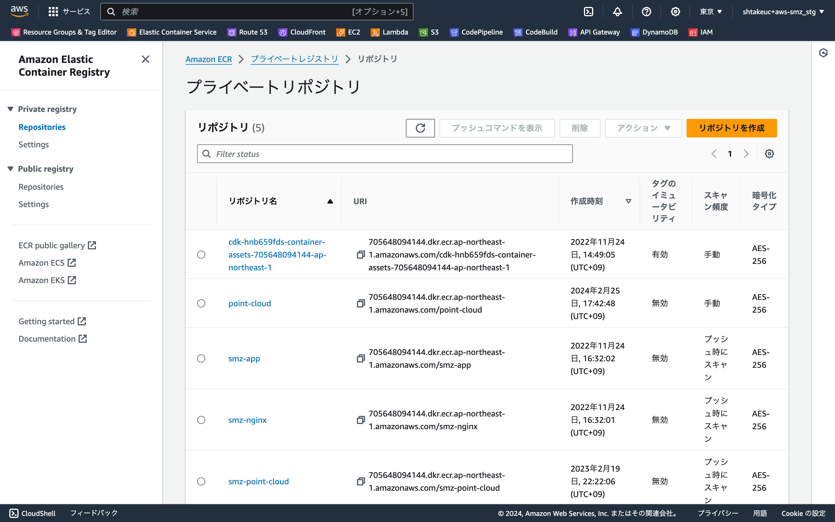 ap-northeast-1.console.aws.amazon.com_ecr_get-started_region=ap-northeast-1 (1).png