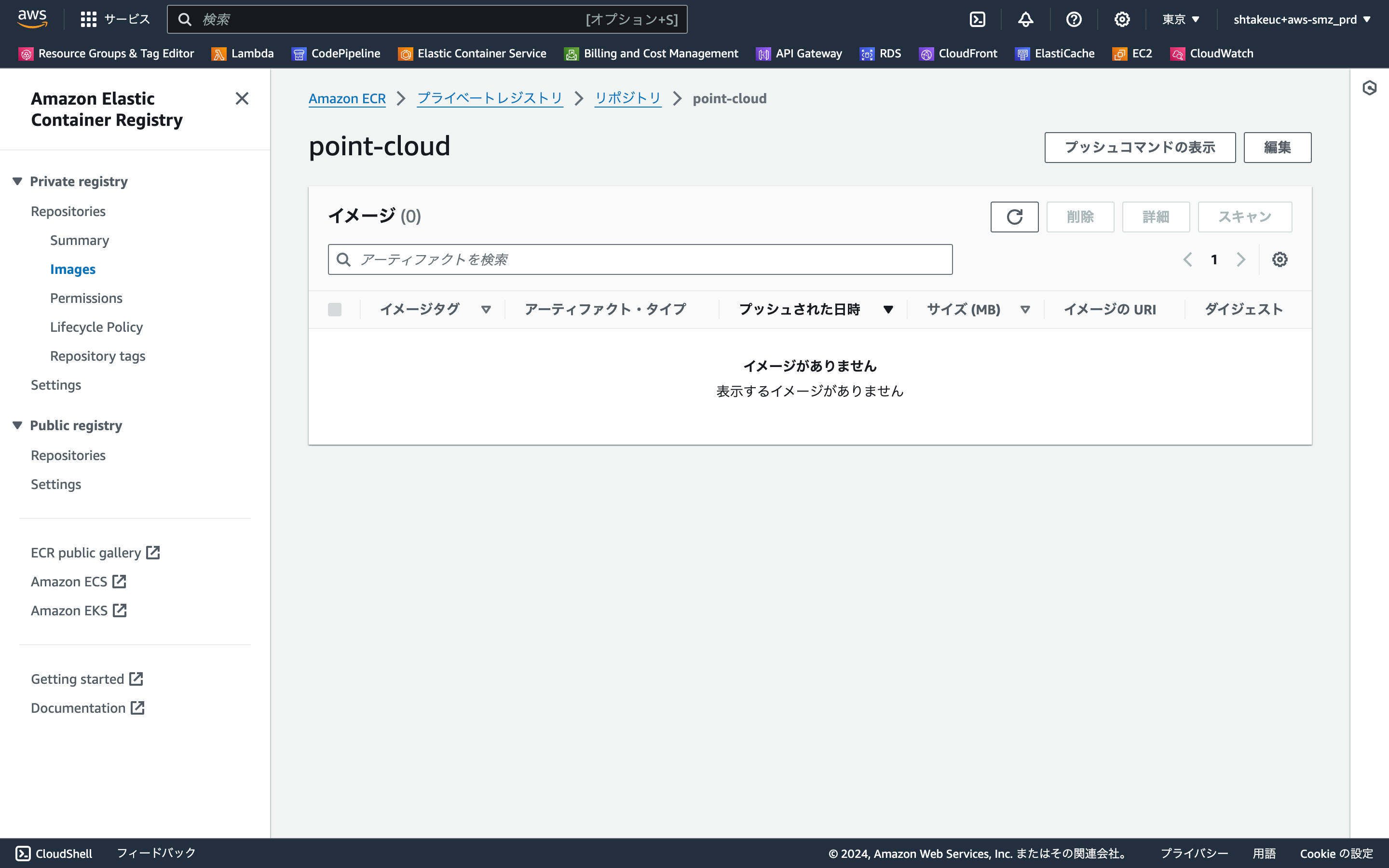 ap-northeast-1.console.aws.amazon.com_ecr_get-started_region=ap-northeast-1 (2).png
