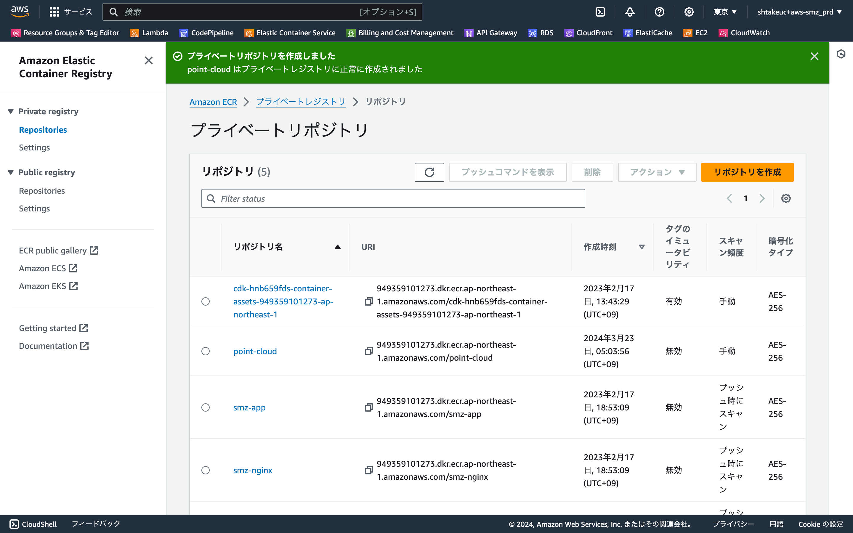 ap-northeast-1.console.aws.amazon.com_ecr_get-started_region=ap-northeast-1 (1).png