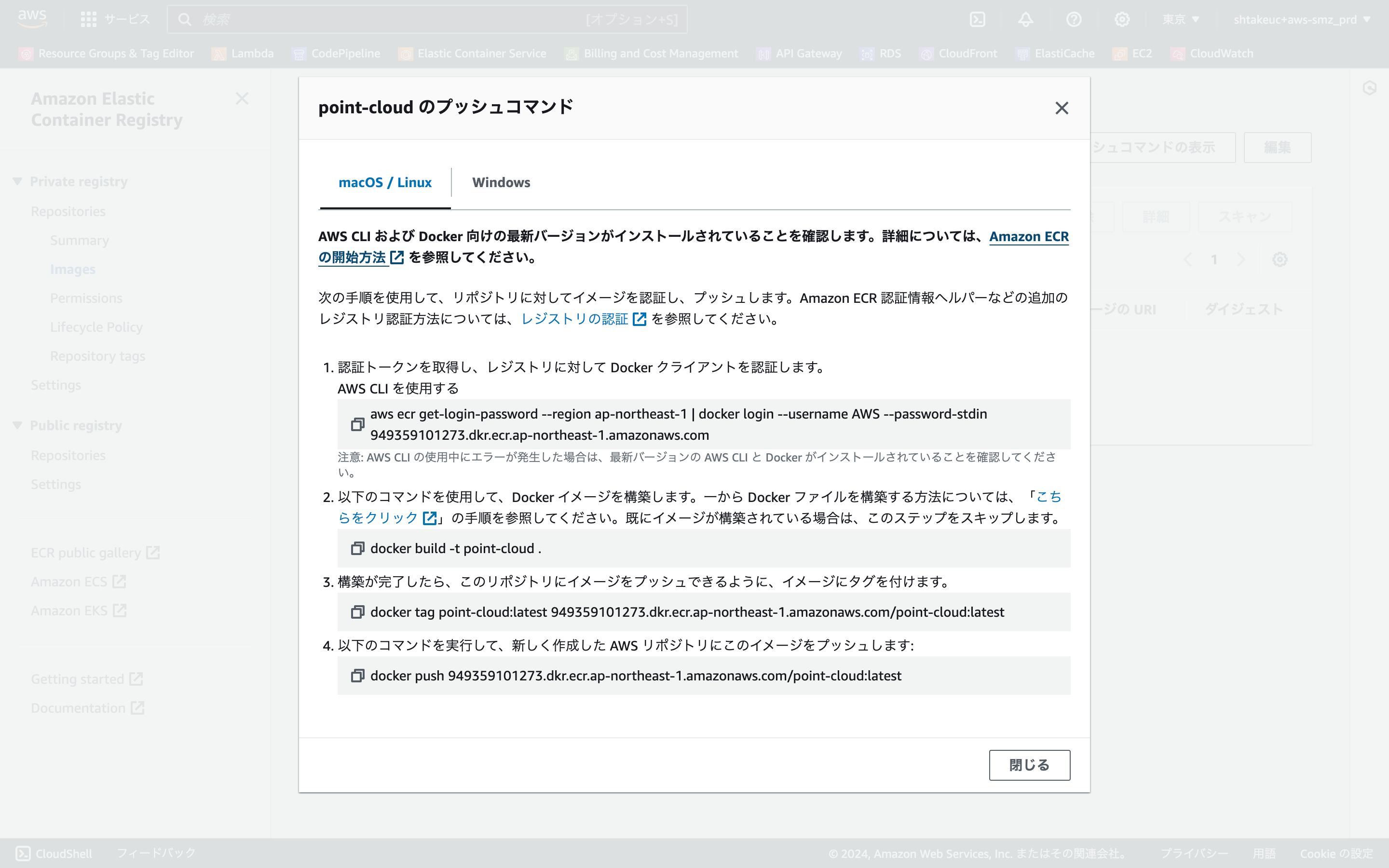 ap-northeast-1.console.aws.amazon.com_ecr_get-started_region=ap-northeast-1 (4).png