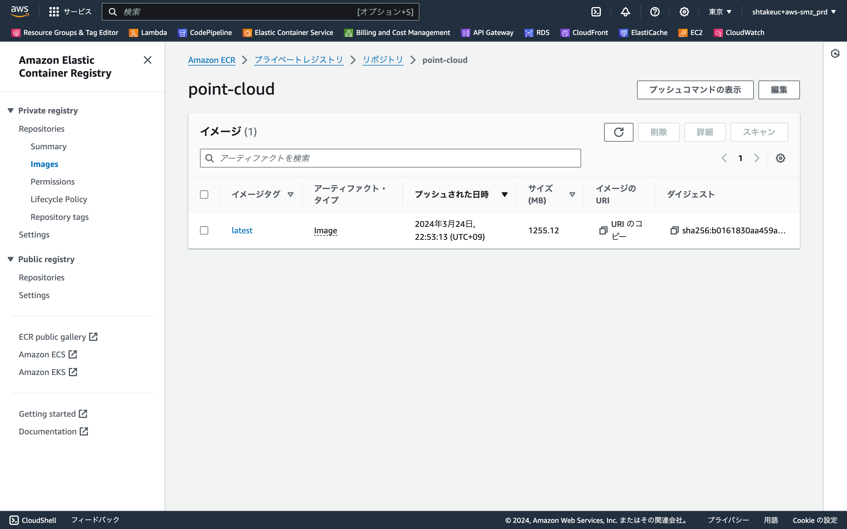 ap-northeast-1.console.aws.amazon.com_ecr_home_region=ap-northeast-1.png