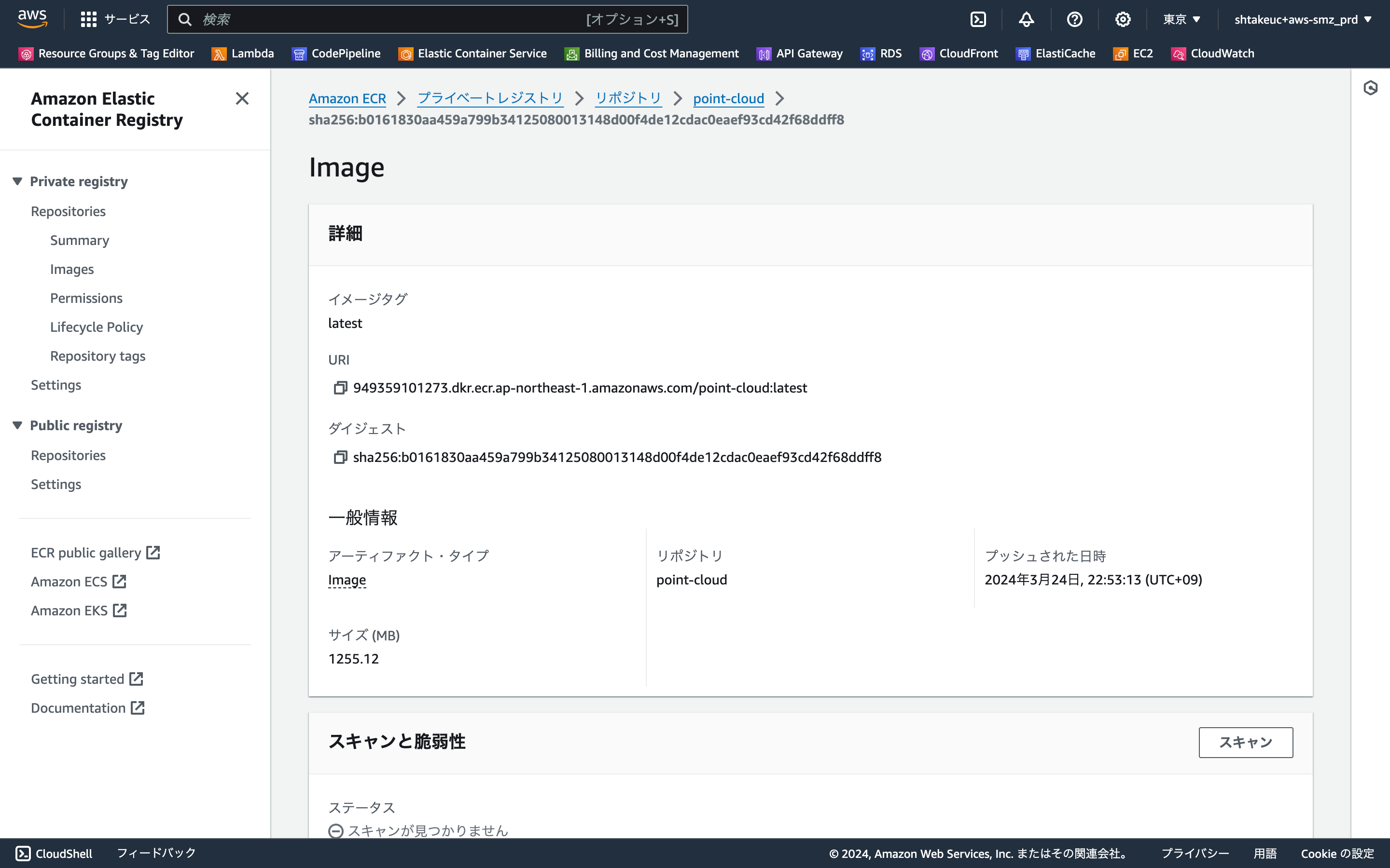 ap-northeast-1.console.aws.amazon.com_ecr_home_region=ap-northeast-1 (1).png